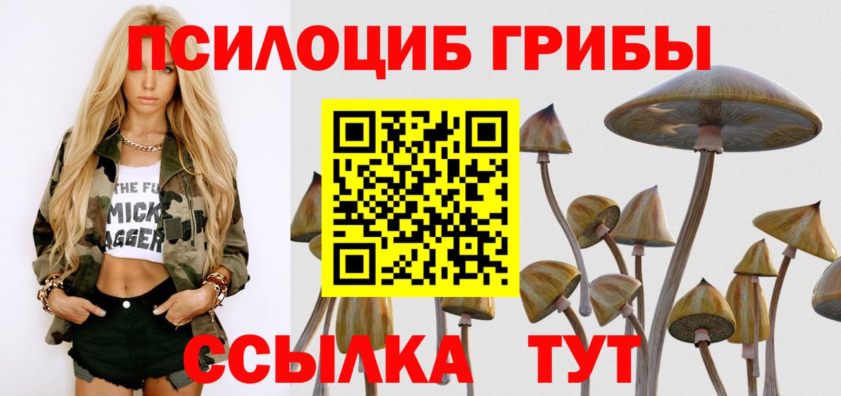 Псилоцибиновые грибы мухоморы  Вход с VPN  Псилоцибиновые грибы мицелий  Лесной 