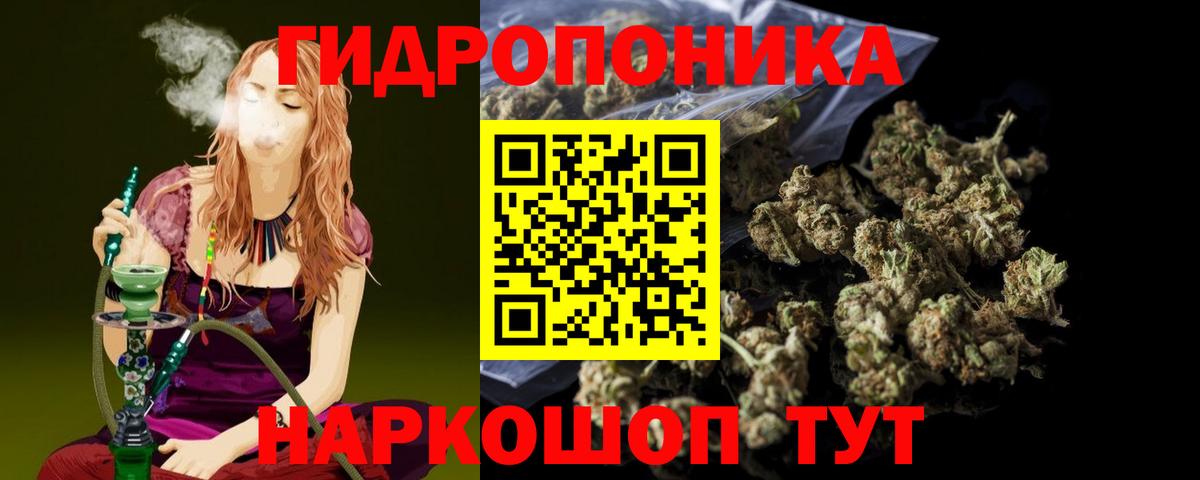 Бошки Шишки гибрид  Бошки Шишки Amnesia  Конопля гибрид  Лесной  Вход с VPN 